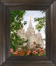 Load image into Gallery viewer, Salt Lake Mid-Summer Garden