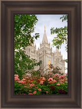 Load image into Gallery viewer, Salt Lake Mid-Summer Garden