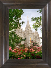 Load image into Gallery viewer, Salt Lake Mid-Summer Garden