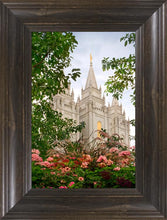 Load image into Gallery viewer, Salt Lake Mid-Summer Garden