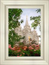 Load image into Gallery viewer, Salt Lake Mid-Summer Garden