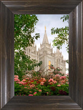 Load image into Gallery viewer, Salt Lake Mid-Summer Garden
