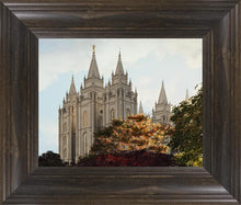 Load image into Gallery viewer, Salt Lake Summer Day