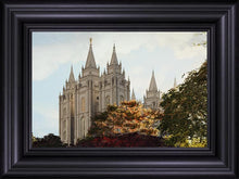 Load image into Gallery viewer, Salt Lake Summer Day