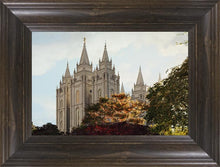 Load image into Gallery viewer, Salt Lake Summer Day