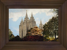 Load image into Gallery viewer, Salt Lake Summer Day