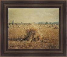 Load image into Gallery viewer, Golden Harvest