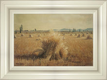 Load image into Gallery viewer, Golden Harvest