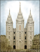 Load image into Gallery viewer, Salt Lake Aged Color