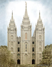 Load image into Gallery viewer, Salt Lake Aged Color