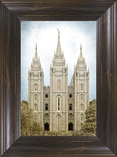 Load image into Gallery viewer, Salt Lake Aged Color