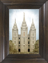 Load image into Gallery viewer, Salt Lake Aged Color