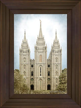 Load image into Gallery viewer, Salt Lake Aged Color