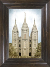 Load image into Gallery viewer, Salt Lake Aged Color