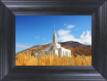 Load image into Gallery viewer, Draper Wheat Field