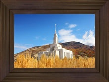 Load image into Gallery viewer, Draper Wheat Field
