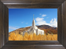 Load image into Gallery viewer, Draper Wheat Field