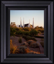 Load image into Gallery viewer, Las Vegas Desert Garden