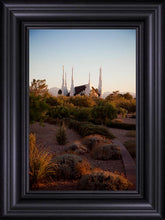 Load image into Gallery viewer, Las Vegas Desert Garden