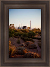 Load image into Gallery viewer, Las Vegas Desert Garden
