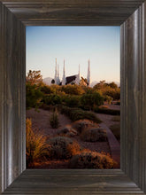 Load image into Gallery viewer, Las Vegas Desert Garden