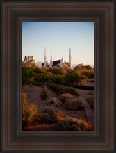 Load image into Gallery viewer, Las Vegas Desert Garden