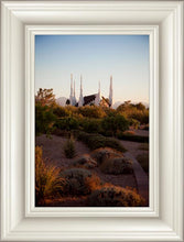 Load image into Gallery viewer, Las Vegas Desert Garden