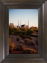 Load image into Gallery viewer, Las Vegas Desert Garden