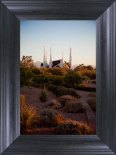 Load image into Gallery viewer, Las Vegas Desert Garden