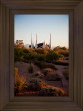 Load image into Gallery viewer, Las Vegas Desert Garden