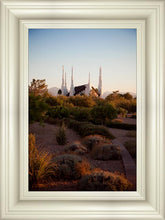 Load image into Gallery viewer, Las Vegas Desert Garden
