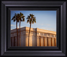 Load image into Gallery viewer, Mesa Close-Up