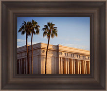 Load image into Gallery viewer, Mesa Close-Up