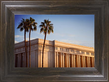 Load image into Gallery viewer, Mesa Close-Up