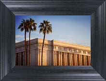 Load image into Gallery viewer, Mesa Close-Up