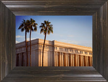 Load image into Gallery viewer, Mesa Close-Up