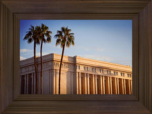 Load image into Gallery viewer, Mesa Close-Up
