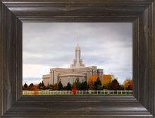 Load image into Gallery viewer, Mount Timpanogos Autumn Trees