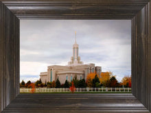 Load image into Gallery viewer, Mount Timpanogos Autumn Trees
