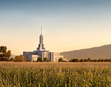 Load image into Gallery viewer, Mount Timpanogos Harvest