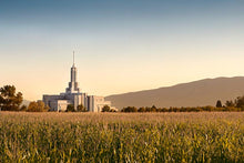 Load image into Gallery viewer, Mount Timpanogos Harvest