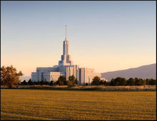 Load image into Gallery viewer, Mount Timpanogos Summer Farm