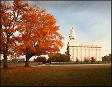 Load image into Gallery viewer, Nauvoo Changing Seasons