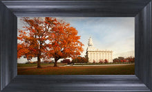 Load image into Gallery viewer, Nauvoo Changing Seasons