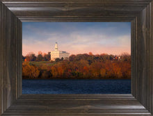 Load image into Gallery viewer, Nauvoo City Of Joseph