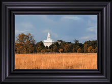 Load image into Gallery viewer, Nauvoo Fields