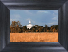 Load image into Gallery viewer, Nauvoo Fields