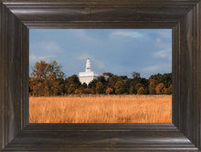 Load image into Gallery viewer, Nauvoo Fields