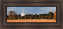 Load image into Gallery viewer, Nauvoo Fields