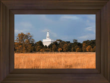Load image into Gallery viewer, Nauvoo Fields